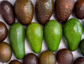 Fruit Services Collective boosts cold storage capacity with advanced pushback racking