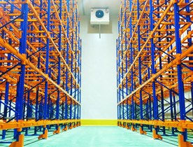 Efficient Cold Storage Warehousing in Cebu, Philippines