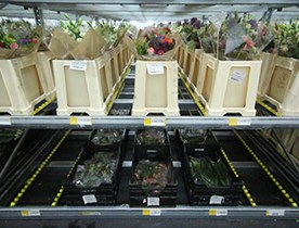 E-Flora, The Netherlands